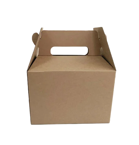 Cajas Tipo Maletín